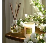 Bougie parfumée verveine