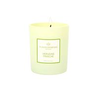 Bougie Parfumée Verveine Fraîche - 180g - Bougie Végétale à la Cire de Soja - Parfum Citronné & Aromatique - Parfums de Grasse - Fabriquée en Provence - Combustion 40h
