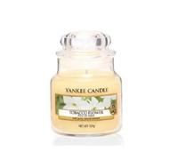 Bougie parfumée - YANKEE CANDLE - Fleur de tabac - 104 grammes - Utilisation intérieure - Mixte