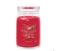 Bougie parfumée - YANKEE CANDLE - Grande Bougie en Pot - Parfum Sucrés & Épicés - Cire de soja - 567 g