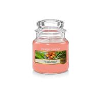 Bougie parfumée - YANKEE CANDLE - Le Dernier Paradis - Verre - 104g - Parfum tropical