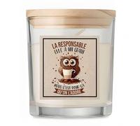Bougie Responsable Chouette Grain | Candle | Idée Cadeau Original Travail Départ Collègue Retraite Anniversaire Noël