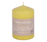 Bougie ronde en stéarine Pro Nature - 100x68mm Miel