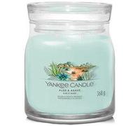 Bougie signature Aloe et Agave modèle moyen