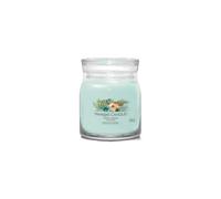 Bougie signature Aloe et Agave modèle moyen