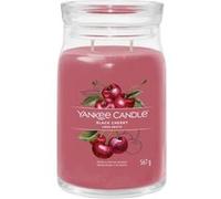 Yankee Candle Bougie parfumée Praline & Birch 567 g variante Black Cherry