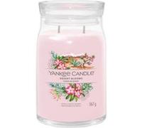 Yankee Candle Desert Blooms bougie en cire Cylindre Bois Rose 1 pièce(s)
