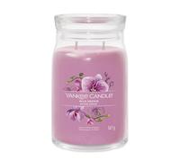 Yankee Candle Bougie parfumée Praline & Birch 567 g variante Wild Orchid