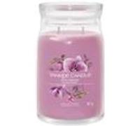 Bougie signature orchidée sauvage grand modèle - Yankee Candle - Violet - Verre Violet G