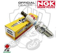 NGK bougie d'allumage