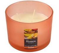 Bougie Verrine Parfumée Essentiel 11cm Mangue