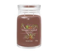 Yankee Candle Bougie parfumée Praline & Birch 567 g variante Praline & Birch