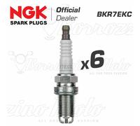 NGK Bougie d'allumage 0087295173541 (à l'unité)