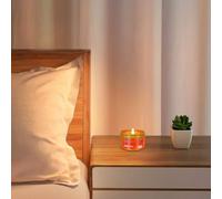 Bougies de Camping Longue Durée Survie,Bougies Sans Odeur pour Pannes de Courant | Kit de Survie Portable Extérieur, Éclairage Sans Fumée pour Maison Voiture et Pique-Nique