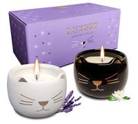 Bougies Décoratives Originales en Forme de Chat, Coffret de 2 Bougies Parfumées Cadeau pour Decoration Maison Salon