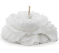 Bougies flottantes Pivoine cire 4x8cm 4 pièces blanc