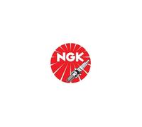 Bougies NGK Ø10mm Culot: 19mm Électrode Centrale En Platine - 87295059432