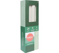 Bougies pointues, blanc nuageux, BOLSIUS Essentials, 24/245 mm, durée de combustion env. 7h, 8 pièces par emballage