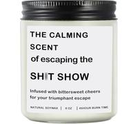 Bougies sarcastiques, cadeaux d'adieu pour collègues, cadeaux d'adieu, cadeaux de départ pour collègues, cadeaux de départ pour collègues, cadeaux de déménagement pour amis, 236,8 g