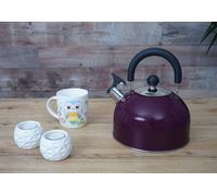 Bouilloire à flûte HWC-J67, Bouilloire à thé, Acier inoxydable résistant à la chaleur 2,5l ~ violet