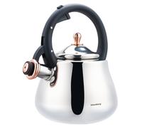 Bouilloire à gaz en acier inoxydable 2,8 L, induction, finition argent brillant