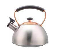 Bouilloire à Induction Théière Sifflet 2,3L Acier Inox. Retro, Poignée Cool B