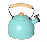 Bouilloire à sifflet vert d'eau 2.5 L