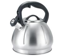 Bouilloire À Thé En Acier Inoxydable Avec Sifflet, Capacité De 3 Litres, Compatible Avec Toutes Les Sources De Chaleur, Poignée Anti-brûlure, Idéale for Le Thé, Le Café(Silver)