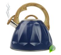 Bouilloire avec sifflet 3L ACIER INOXYDABLE POIGNÉE EN PLASTIQUE Bouilloire sifflet induction bleue
