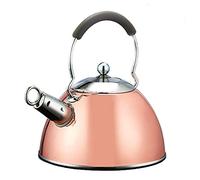 Bouilloire,bouilloire à thé, Bouilloire inox 3L théière sifflet ébullition rapide Portable for cuisinière électrique à gaz Camping chauffage eau lait blanc(2.5l Copper Plating)