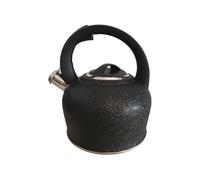 Bouilloire classique acier 2.5 L