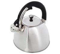 Bouilloire de cuisine avec couvercle et sifflet appareils petits siffleur