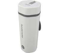 Bouilloire électrique de voyage, portable, chauffée automatiquement, mini-théière pour voiture 220 V
