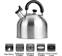 bouilloire en acier inoxydable de 3 litres Bouilloire à flûte Bouilloire de camping