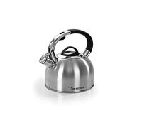 Bouilloire en acier satiné