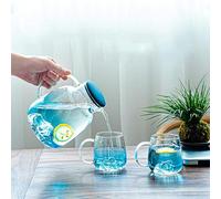 Bouilloire en verre borosilicate - Grande capacité - Protection anti-goutte - Convient pour flamme ouverte et cuisinière électrique - Soufflée à la bouche - Idéale pour la maison ou le café
