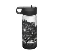 Bouilloire isotherme de voyage en acier inoxydable avec impression artistique d'arbre 532 ml