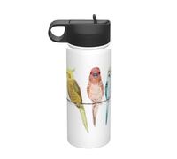 Bouilloire isotherme en acier inoxydable avec motif perroquets colorés sur arbre 532 ml