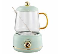 Bouilloire multifonctionnelle en verre de 600ML, théière électrique, distributeurs d'eau chaude, à fleurs, ragoût automatique, Pot nid d'oiseau acier inoxydable(Green)