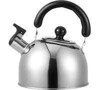 Bouilloire sifflante en acier inoxydable pour cuisinière à gaz Argenté 1 l