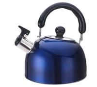Bouilloire sifflante en acier inoxydable pour cuisinière à gaz, bleu, 1 l