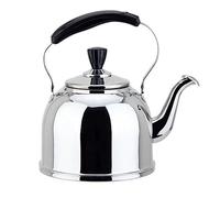Bouilloire sifflante en acier inoxydable pour cuisinière à induction avec poignée - 3 l