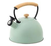 Bouilloire Théière Sifflante 3 Litres, Bouilloire Sifflante Induction En Inox, Poignée Fixe De Protection Thermique, Pour Tous Feux Dont Induction 20,4 * 22,3cm (vert)