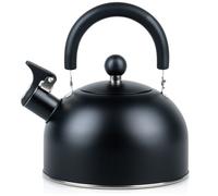 Bouilloire Vilde - Acier inoxydable - 2 L - Noir mat