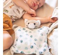 Bouillotte bébé chat