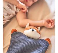 Pelucho - Bouillotte Bébé Renard - Bien-Être, Chaleur et Douceur - Micro-Ondable - Grains de Blé et Fleurs de Lavande - Fabriquée en France