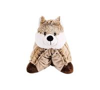 bouillotte coussin micro-ondable