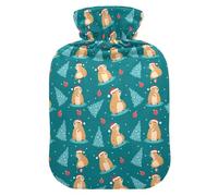 Bouillotte de 1 L avec housse chaude en peluche douce Capybara - Bouchon à vis anti-fuite - Idéal pour les sports d'hiver en plein air - Douleurs musculaires froides et crampes - 1 l