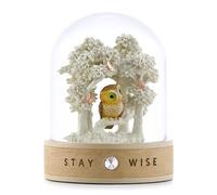 Boule à Neige « La Sagesse », en Verre; avec Hibou, Symbole de Sagesse et de Connaissance. Idée Cadeau pour Femme, Homme, Enfant.