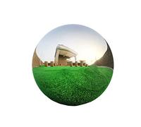 Boule Creuse en Acier Inoxydable 304 for la décoration de Jardin(100mmx0.5mm(2pcs))